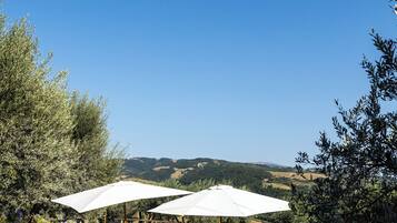 Castel D'Arno Guest House | Piscine