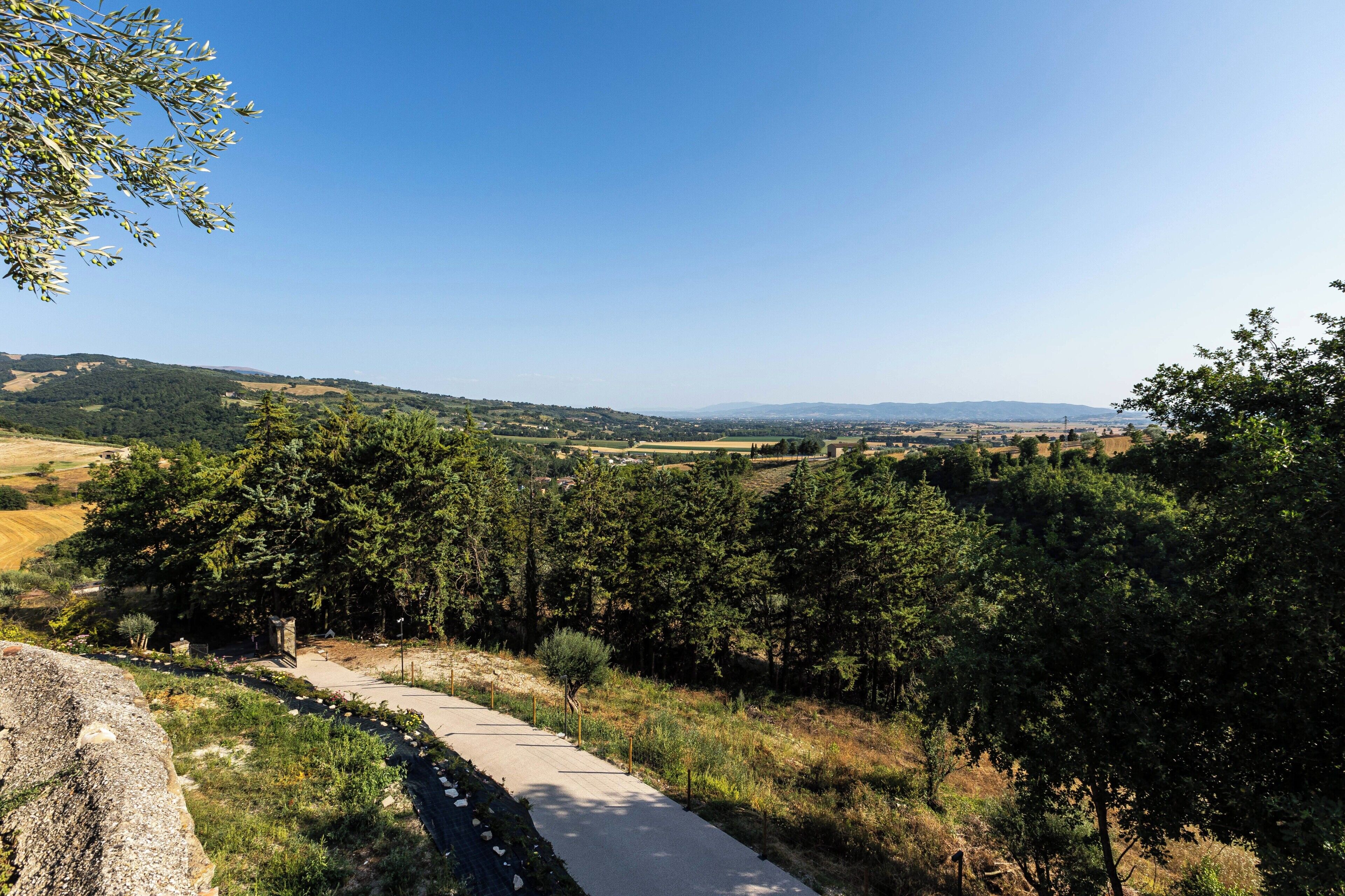 A paved path through a wooded area with a clear view of distant hills.