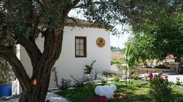 Área da propriedade