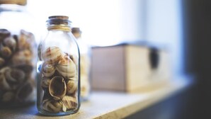Een glazen pot gevuld met schelpen op een plank.