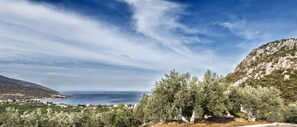 House - Epidavros Villas - Dafni Stone Garden Retreat (Epidaurus)