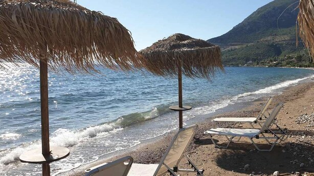 Ein Strand mit Reetdachschirmen und Liegestühlen.