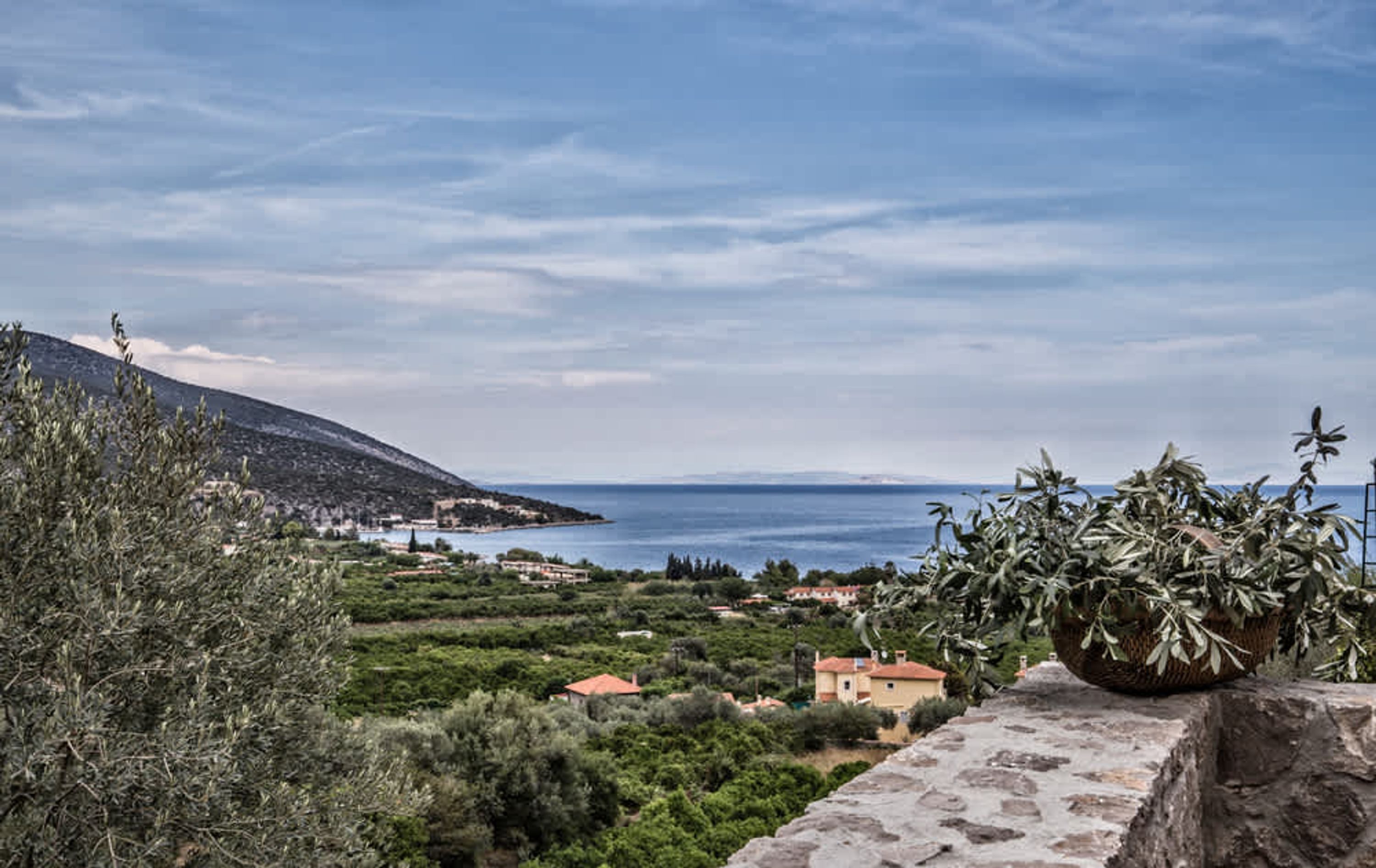 A coastal landscape with a stone wall, olive trees, and a distant view of the sea.