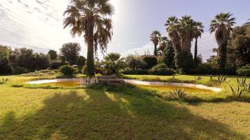 Parco della struttura