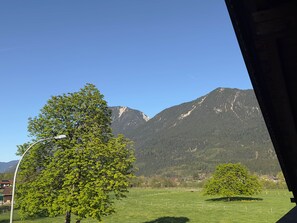 Eine Berglandschaft mit Bäumen und blauem Himmel.