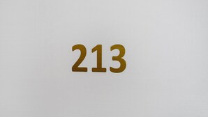 Ein weißer Hintergrund mit der Zahl '213' in Gold.