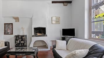 Fernseher