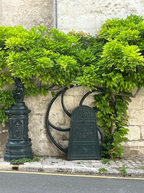 Detalle exterior