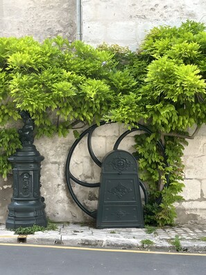 Exterior detail - Unique Character House in Beaugency with Wi-Fi (Beaugency)