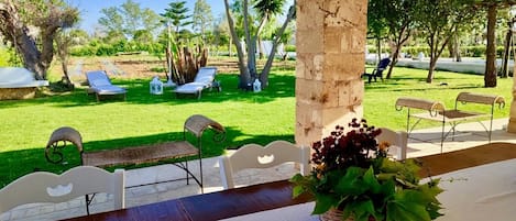 Terraza o patio
