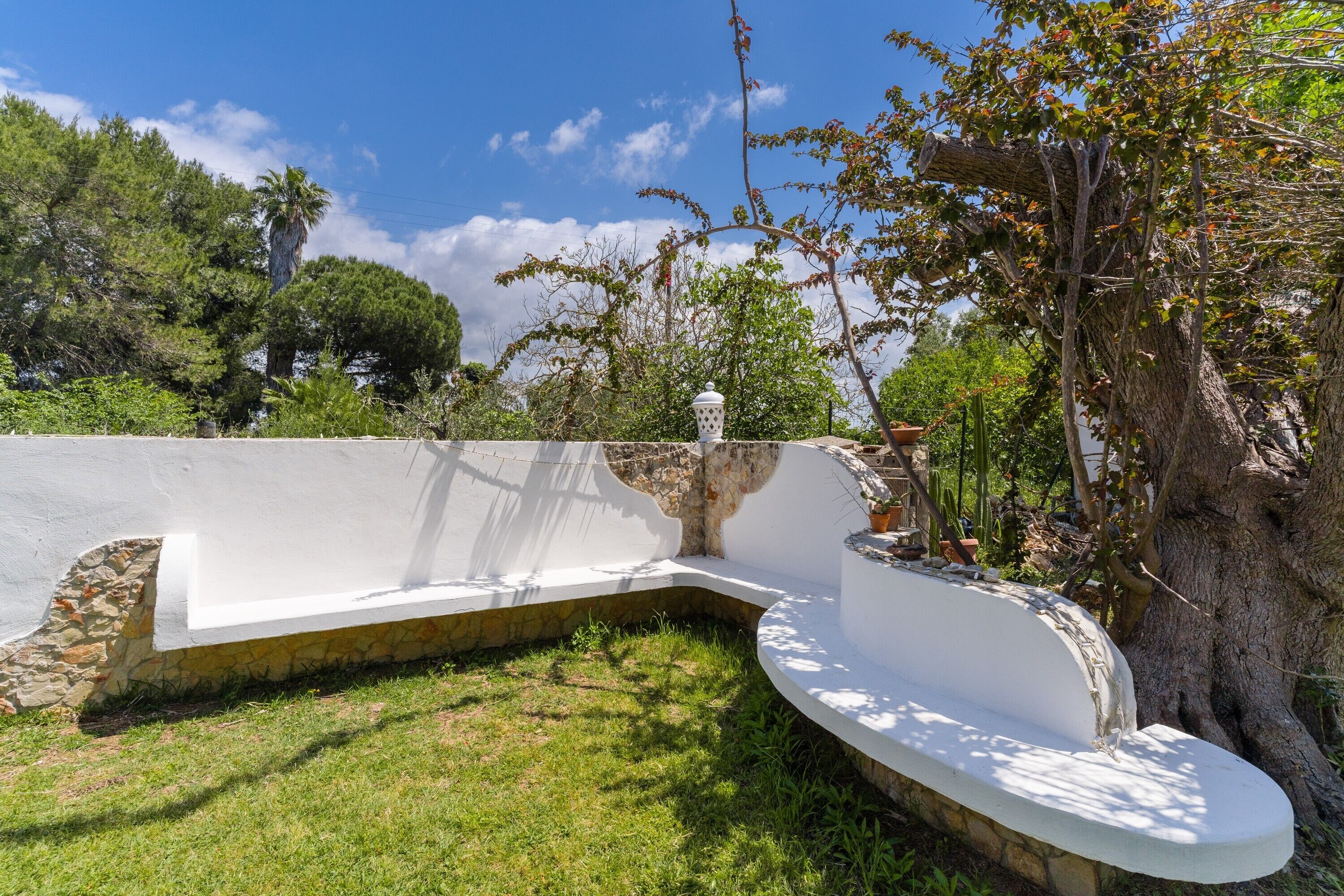 Una panchina bianca a forma di curva con base in pietra, circondata da vegetazione e alberi.