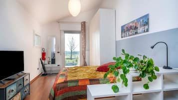 1 chambre, fer et planche Ă repasser
