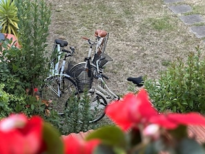 A bicycle parked on a grassy area with a basket attached to the front. - Domus Socolatae Cocoa Journey  (Follonica)
