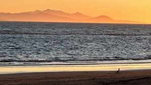 A beach with a seagull and mountains in the background. - Domus Socolatae Cocoa Journey  (Follonica)