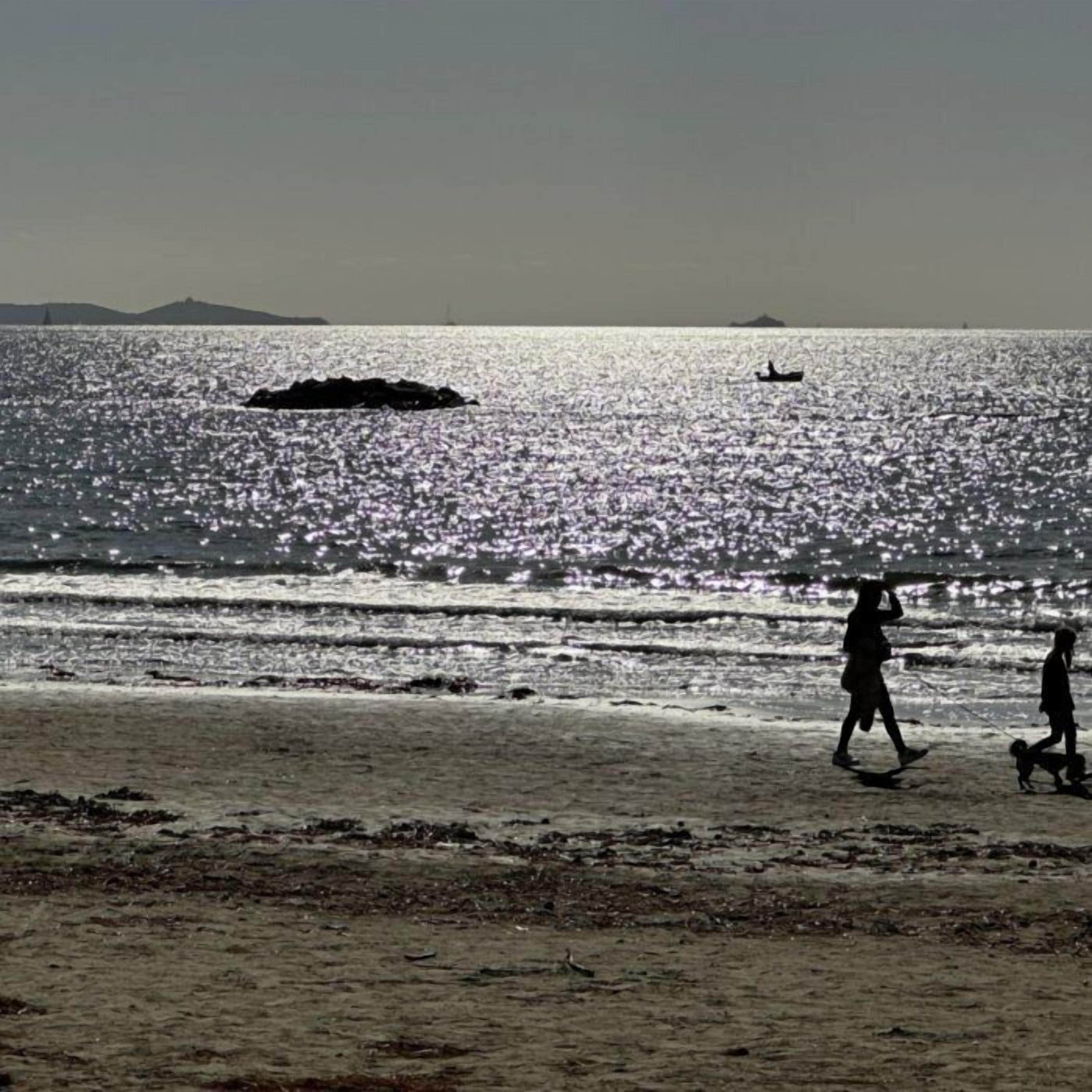 附近的私人海灘、躺椅、沙灘巾
