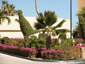 Property grounds - San Jose del Cabo | Family Beach Retreat | Pool + Beach | 2BR (San Jose del Cabo)