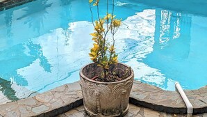 Une petite piscine en pierre avec une plante en pot au centre.