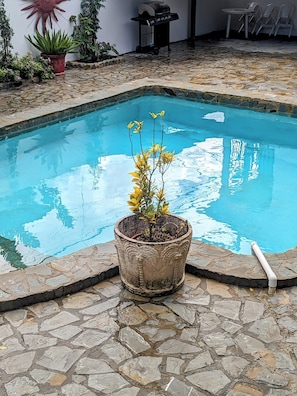 Une petite piscine en pierre avec une plante en pot au centre.