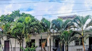 Un quartier résidentiel composé de plusieurs maisons, dont certaines présentent des fenêtres et des portes bien visibles, et qui est entouré d’une végétation luxuriante comprenant différentes espèces de palmiers.