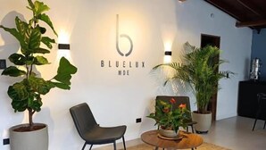 A modern interior with a potted plant, a chair, a coffee table, and a wall-mounted light fixture. - Bluelux Med - B&B (Medellín)