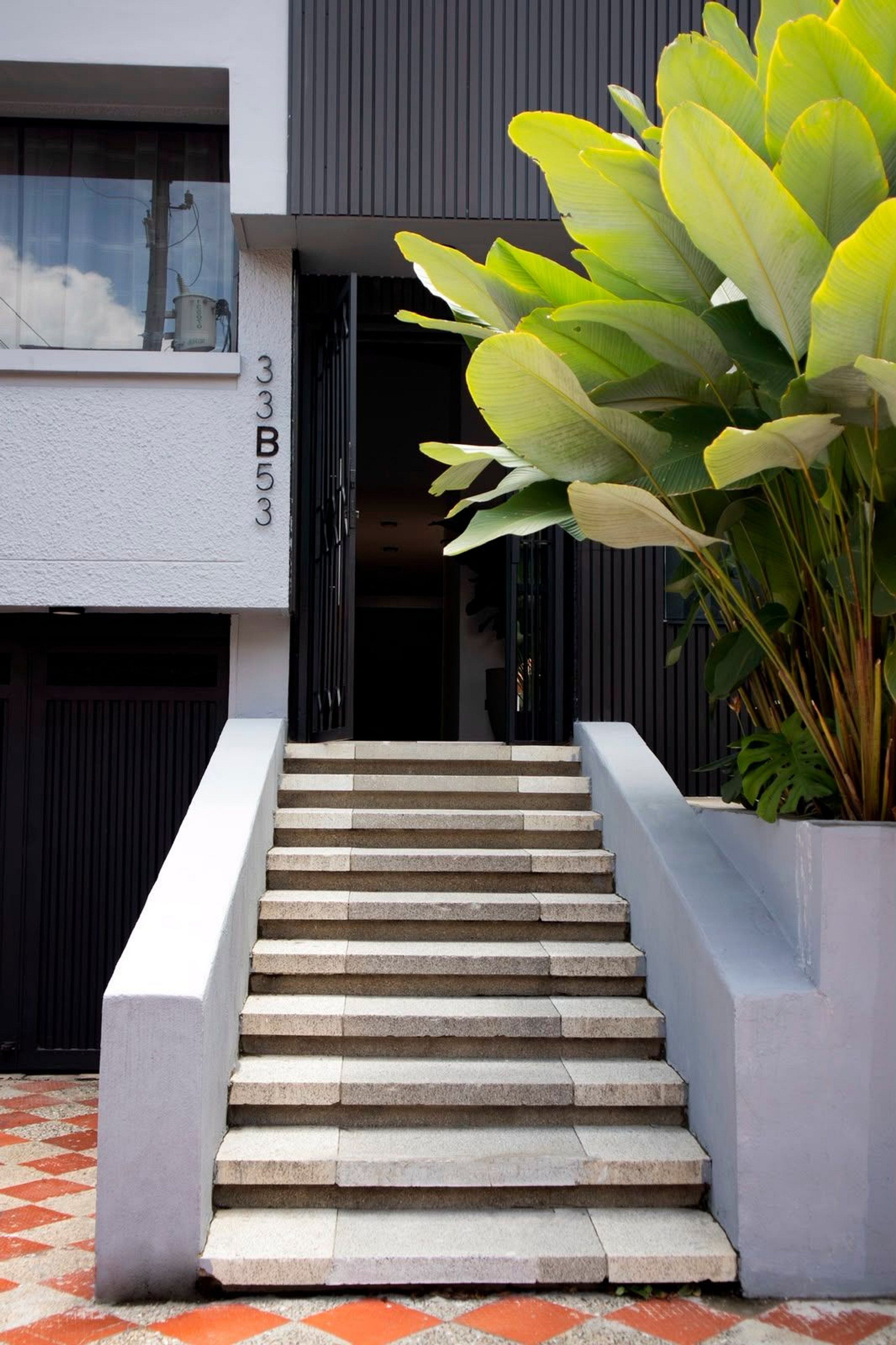 A staircase leading to a building entrance with a large plant on the right.
