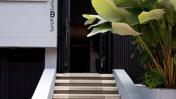 A staircase leading to a building entrance with a large plant on the right.