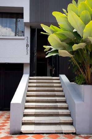 Una escalera conduce a la entrada de un edificio, con una planta grande a la derecha.