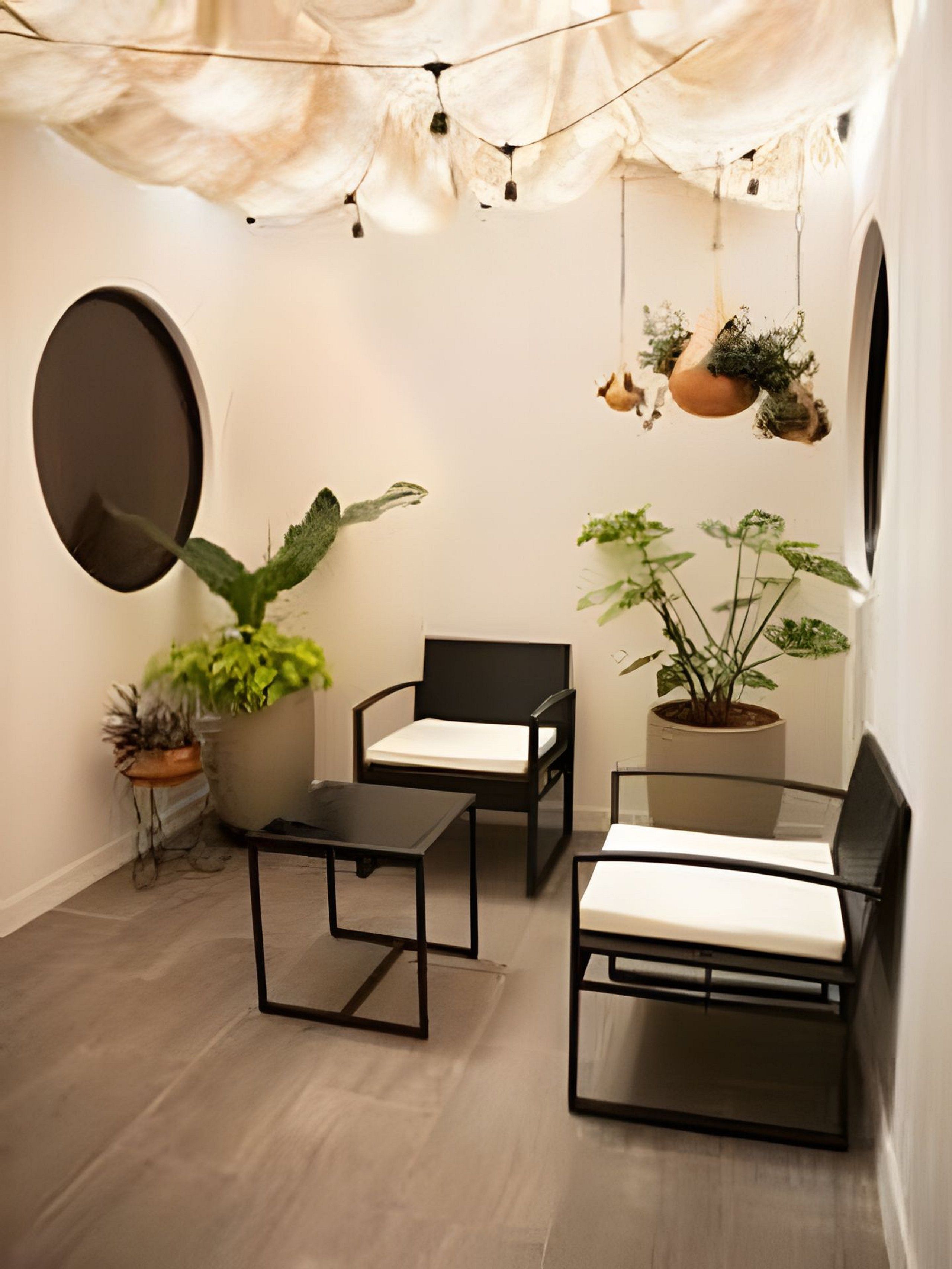 Una habitación pequeña y moderna con dos sillas negras, una mesita y varias plantas en macetas.