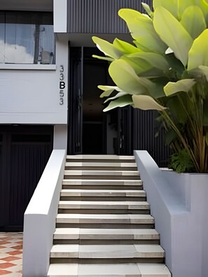 A staircase leading to a modern building entrance with a large green plant on the right. - Bluelux MDE B&B (Medellín)