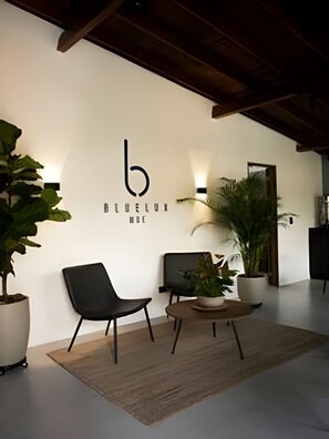 Un interior moderno con diseño minimalista, que presenta una zona de recepción con dos sillas negras, una mesa redonda pequeña y una planta en maceta.
