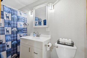 Bathroom - Welcome to Turkey Ridge Cabin Sitting on 12 Acres in Cedar Falls, IA (Cedar Falls)