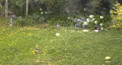 Room-tranquil Browns Bay Guest Rooms wit