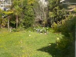 Shared Dormitory, 1 Bedroom, Smoking | Garden - Room-tranquil Browns Bay Guest Rooms wit (Auckland)