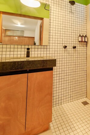 Shower, hair dryer, shampoo