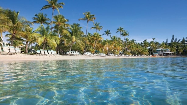 Ein Strand mit klarem Wasser, Palmen und Liegestühlen.