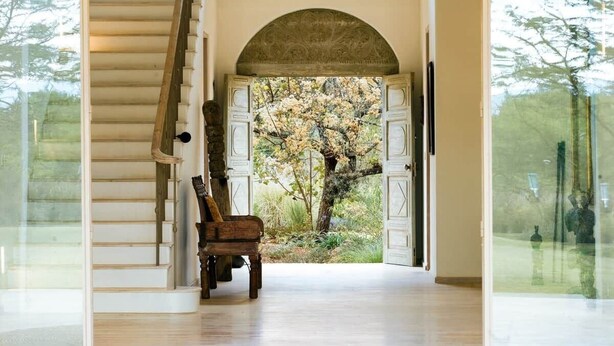 Un escalier menant à une pièce d’où l’on peut admirer un arbre.