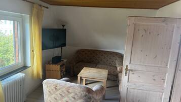 Tv, bordtennisbord