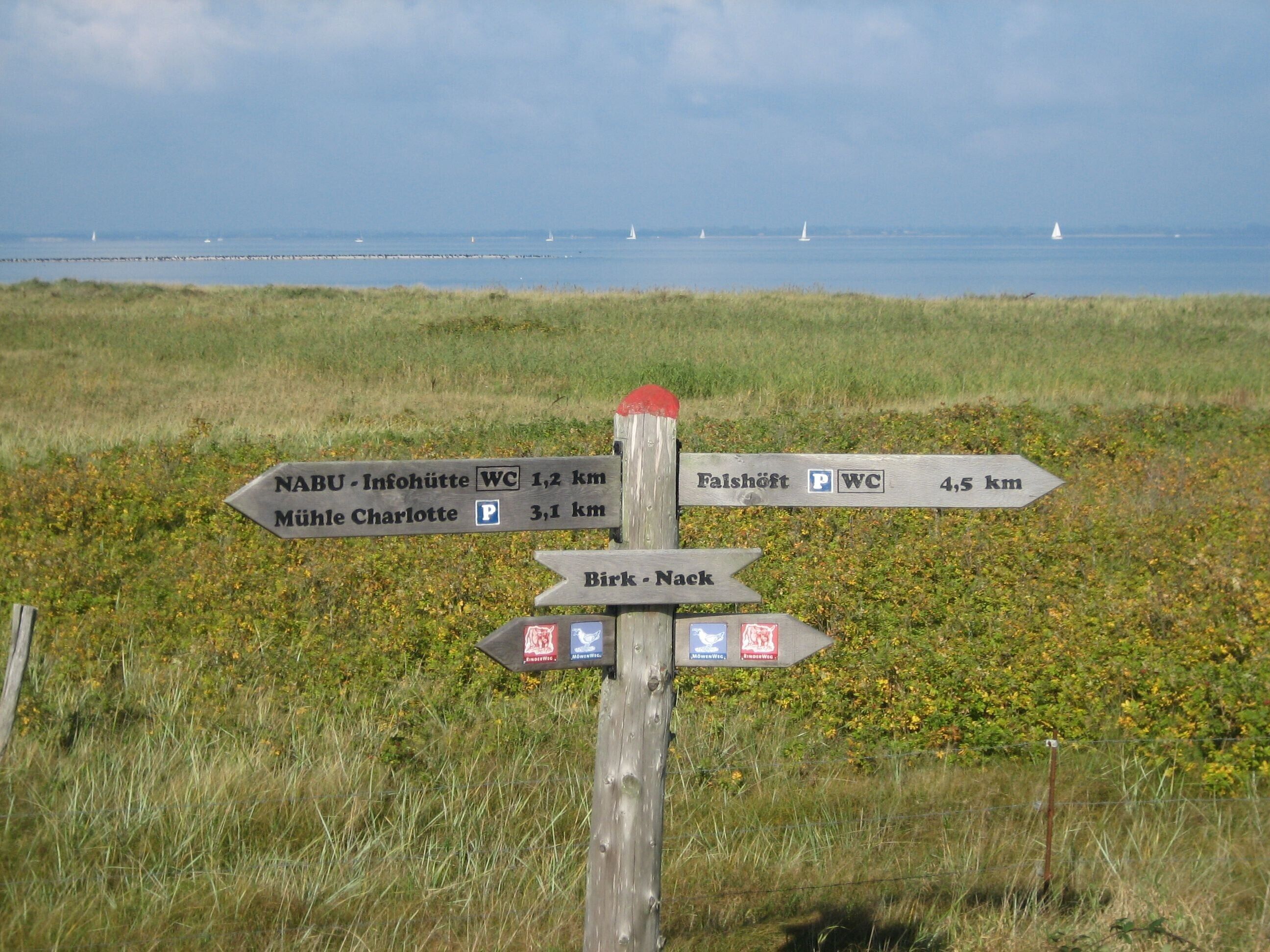 A directional signpost with multiple arrows pointing towards various destinations, including distances in kilometers.