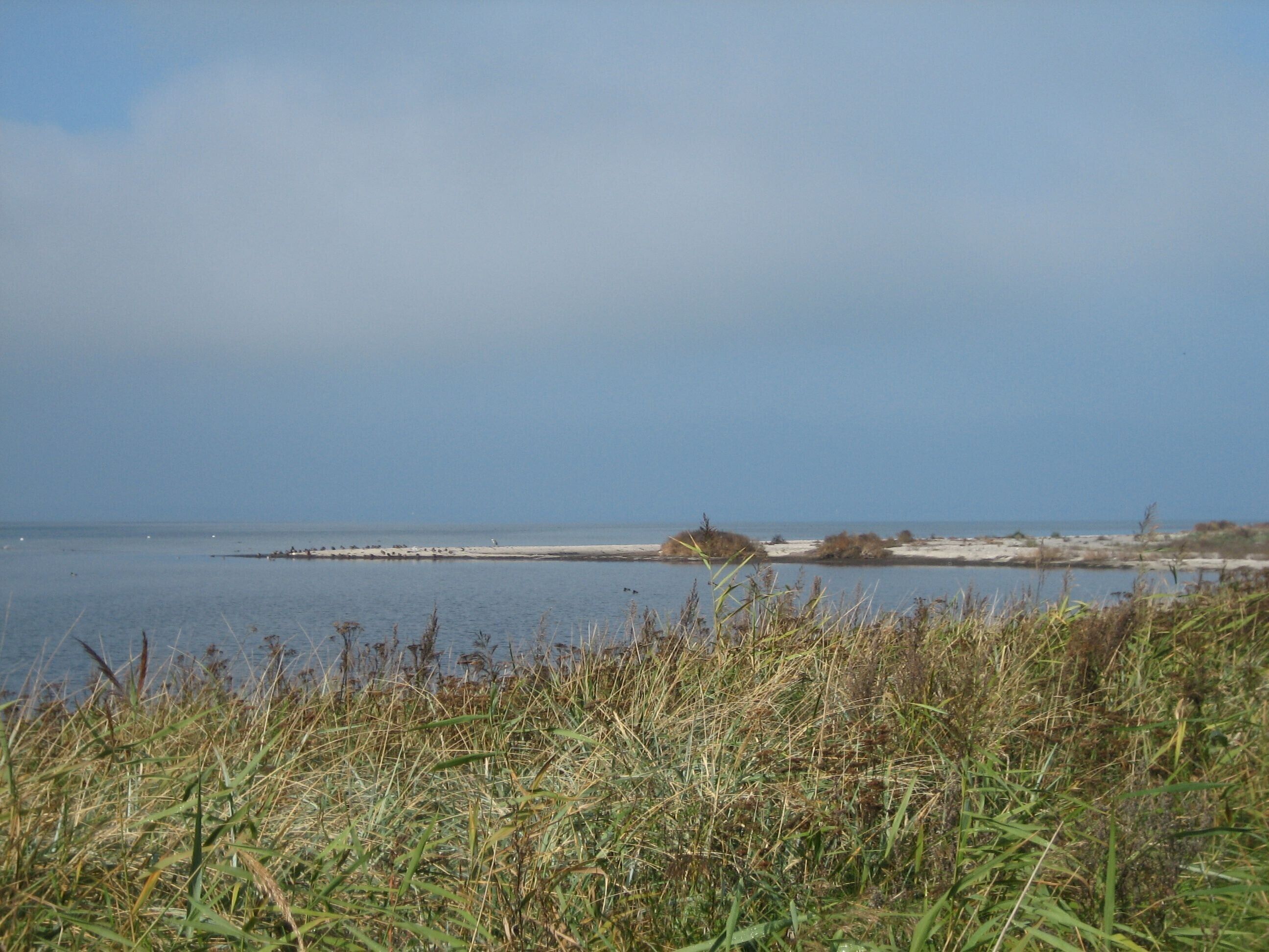 Eine Küstenlandschaft mit blauem Himmel, Sandstrand und einem Gewässer.