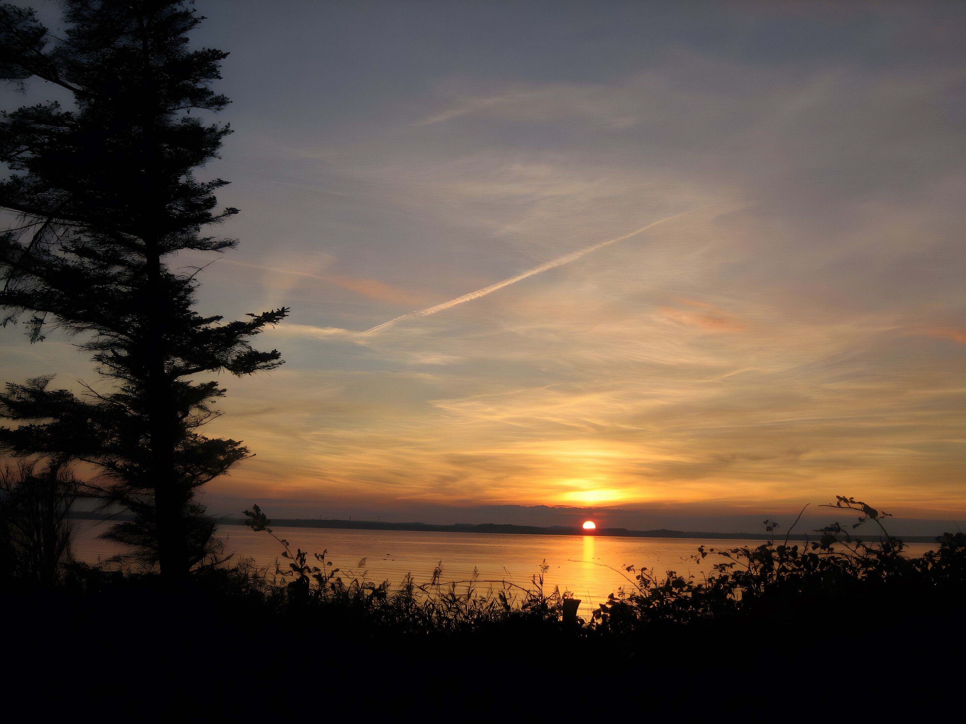 Ein Sonnenuntergang über einem Gewässer mit der Silhouette eines Baumes und einem klaren Himmel.