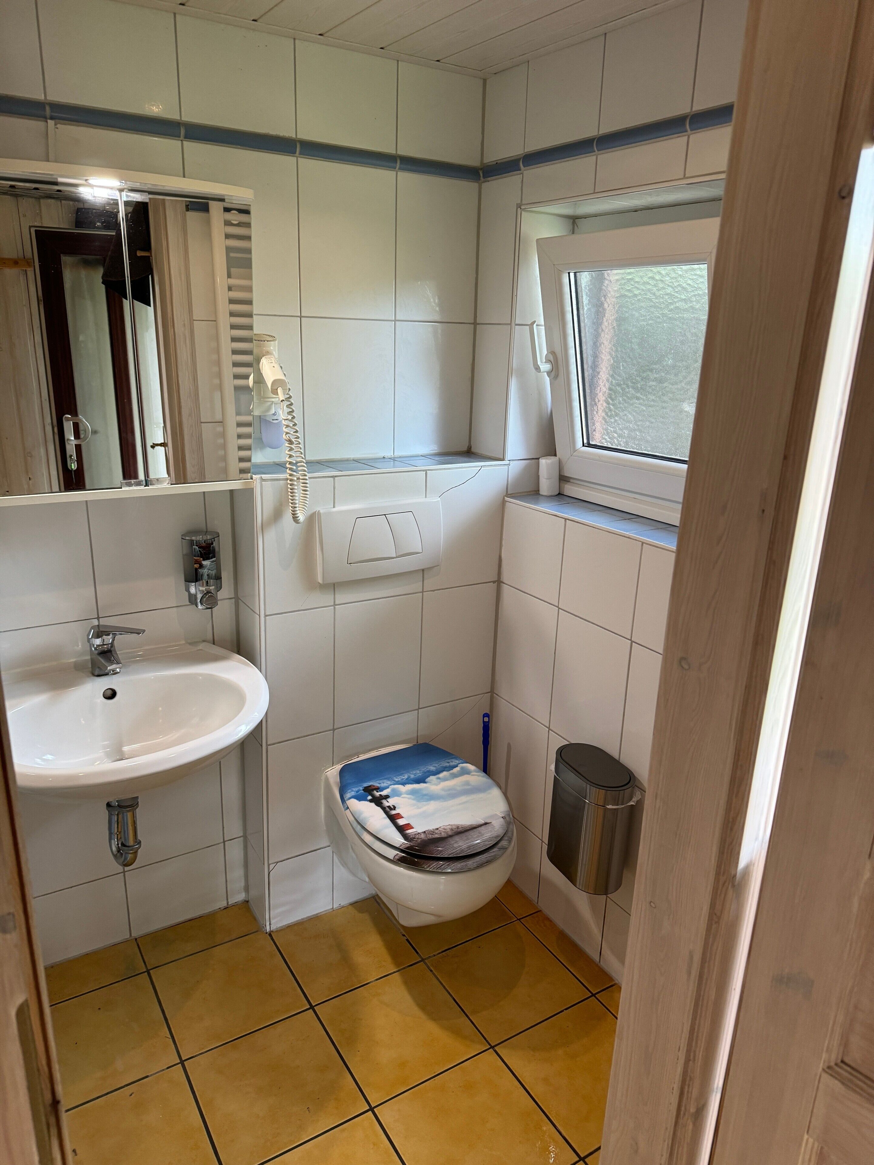 A bathroom with a white sink, a toilet with a blue sky and clouds design, a window, and a trash can.