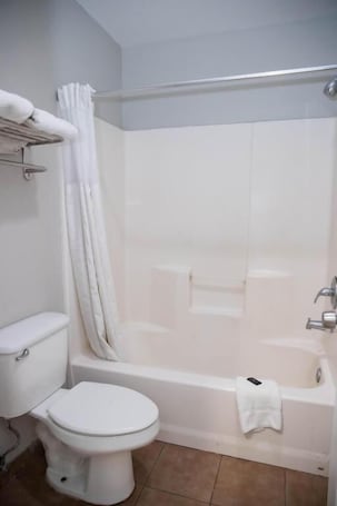 Combined shower/bathtub, towels, soap, toilet paper. Nogalitos Motel
