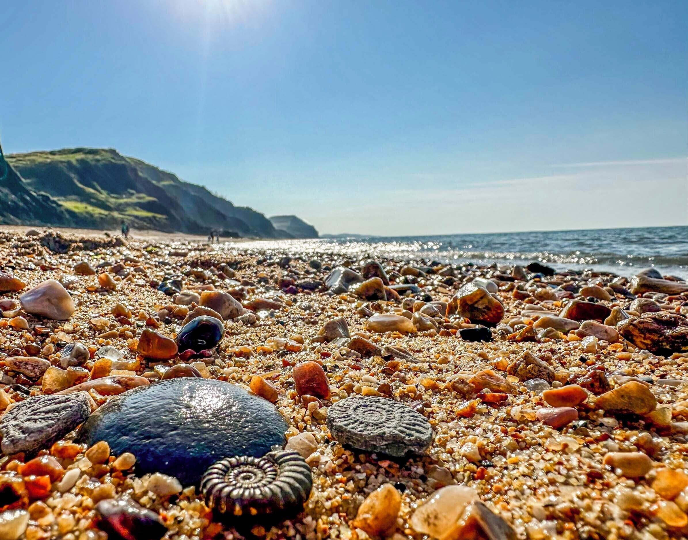 A beach with various shells and pebbles.