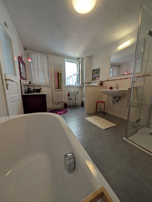 Dusche, Haartrockner, Bidet, Handtücher