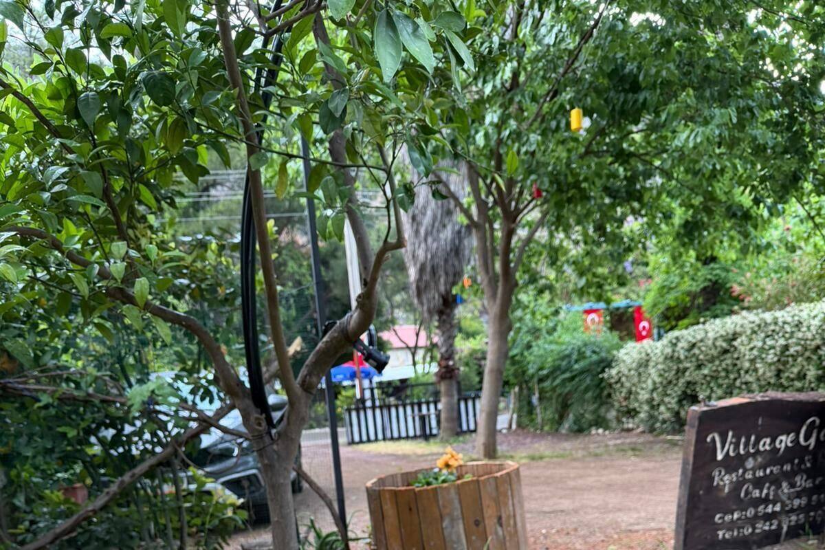 A wooden planter with pink flowers, a signboard, and a tree in a garden setting.