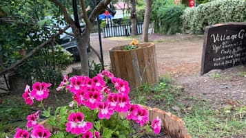 Pet-friendly amenities