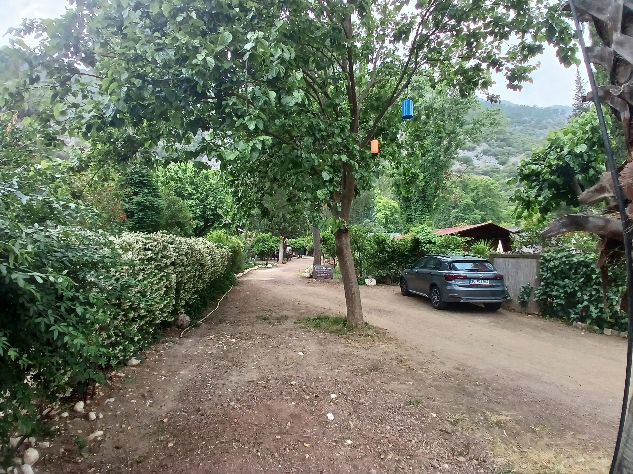 A dirt path leading to a parked car, surrounded by dense greenery and trees.