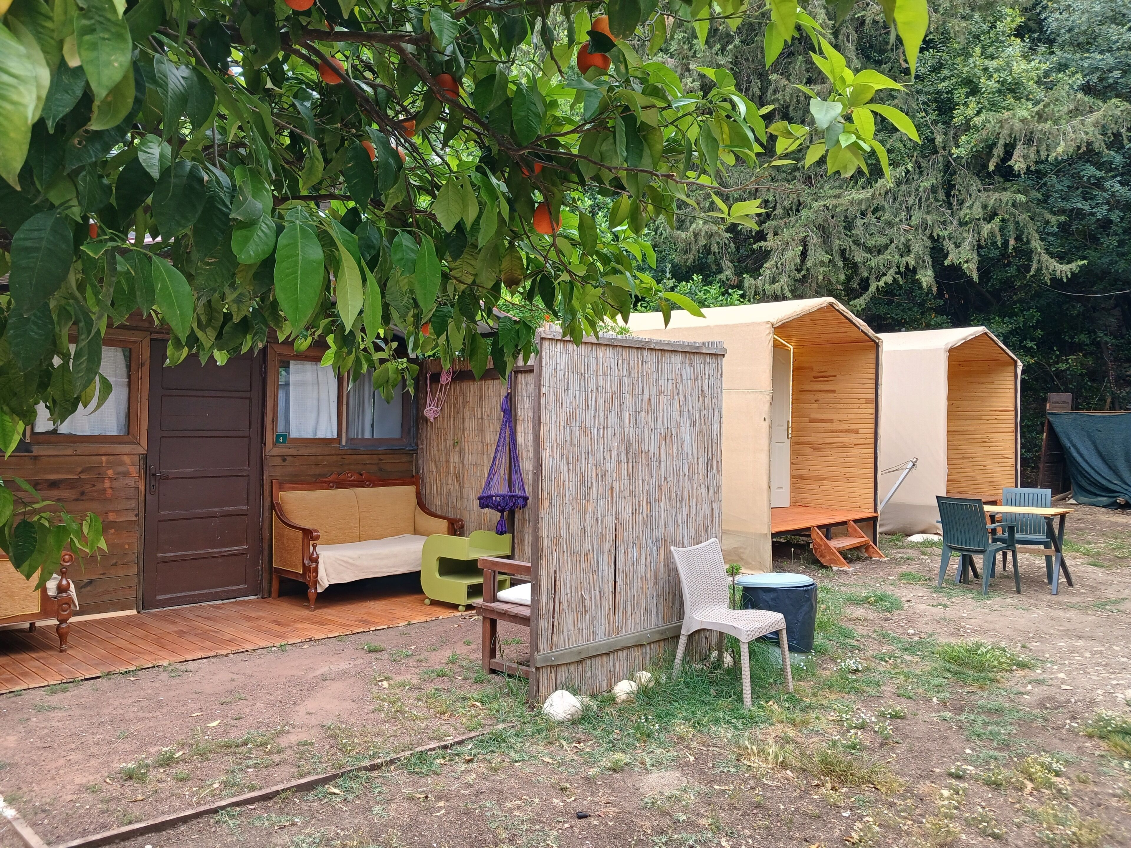 Minibar, wifi gratis y ropa de cama 