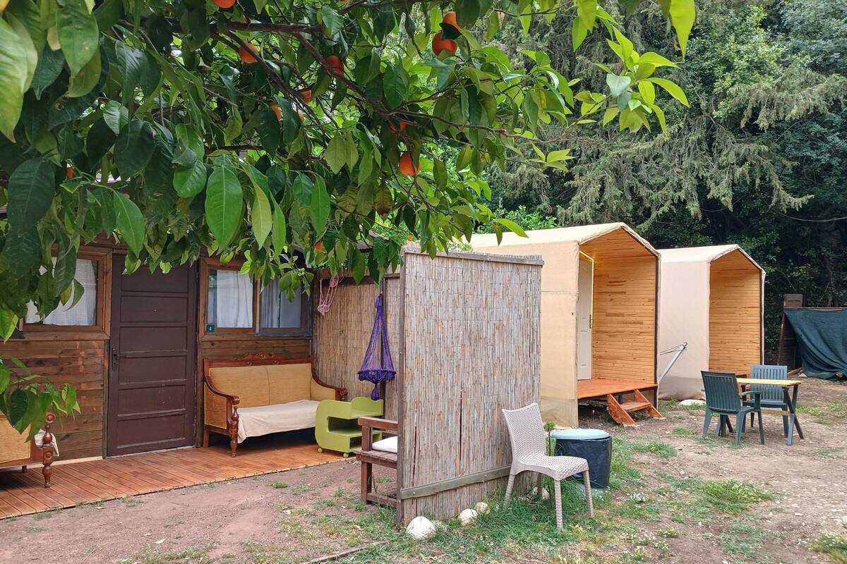 A rustic outdoor accommodation with wooden cabins, a sofa, and a dining area.