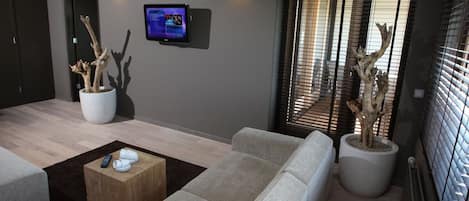 TV